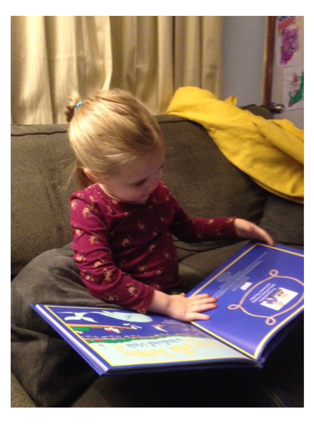 Tuckey Fan