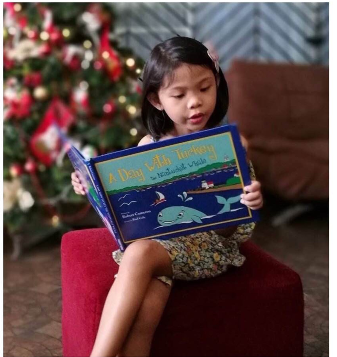 Tuckey Fan